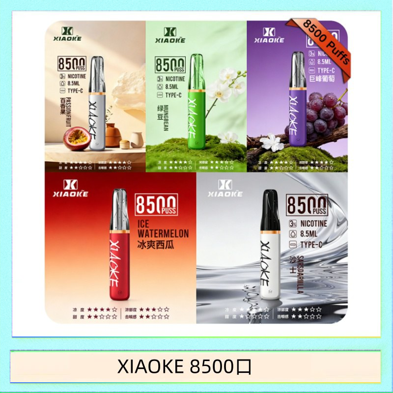 XIAOKE 8500口 梟客XIAOKE一次性電子菸拋棄式8500口